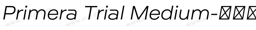 Primera Trial Medium字体转换